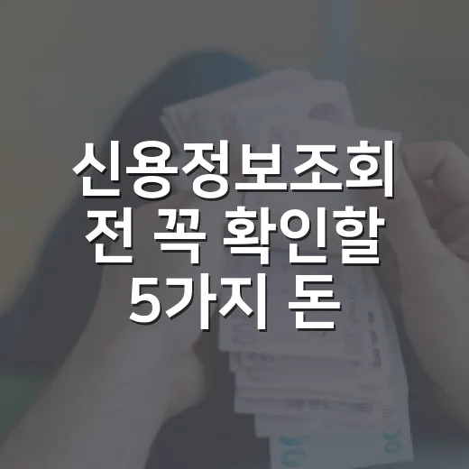 신용정보조회 전 꼭 확인할 5가지 돈 관리 기준 - 요약