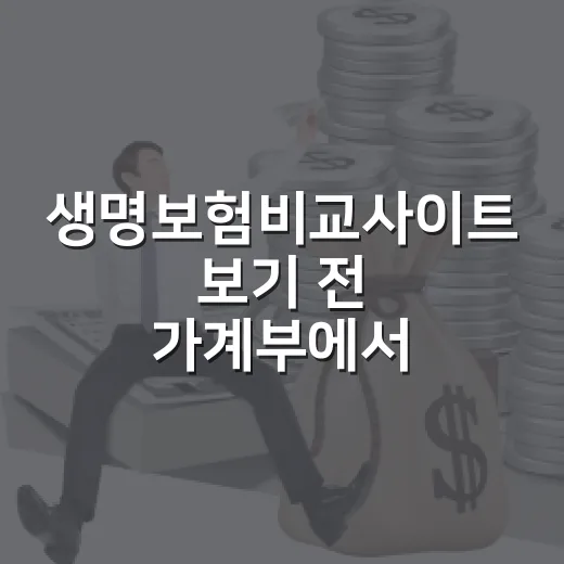생명보험비교사이트 보기 전 가계부에서 먼저 확인할 5가지 - 요약