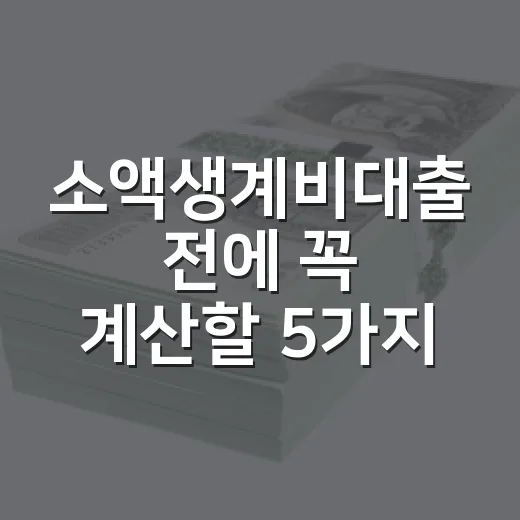 소액생계비대출 전에 꼭 계산할 5가지 숫자 - 요약
