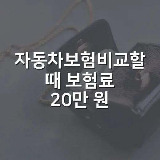 자동차보험비교할 때 보험료 20만 원 아끼는 5가지 기준 - 요약