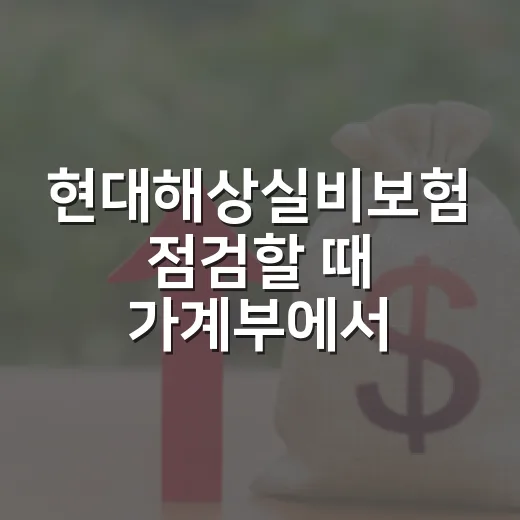 현대해상실비보험 점검할 때 가계부에서 먼저 볼 5가지 - 요약