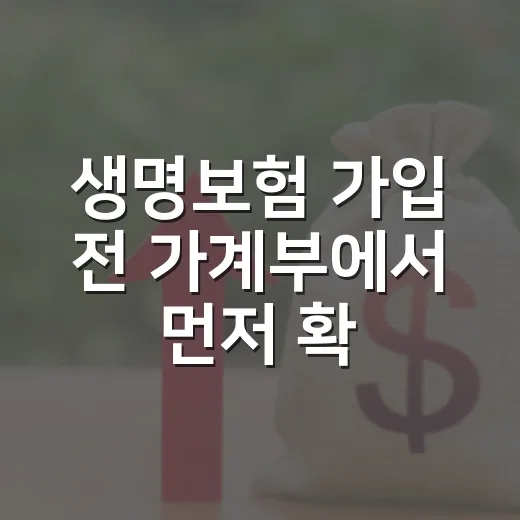 생명보험 가입 전 가계부에서 먼저 확인할 5가지 숫자 - 요약