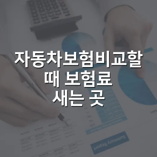 자동차보험비교할 때 보험료 새는 곳 잡는 5가지 기준 - 요약