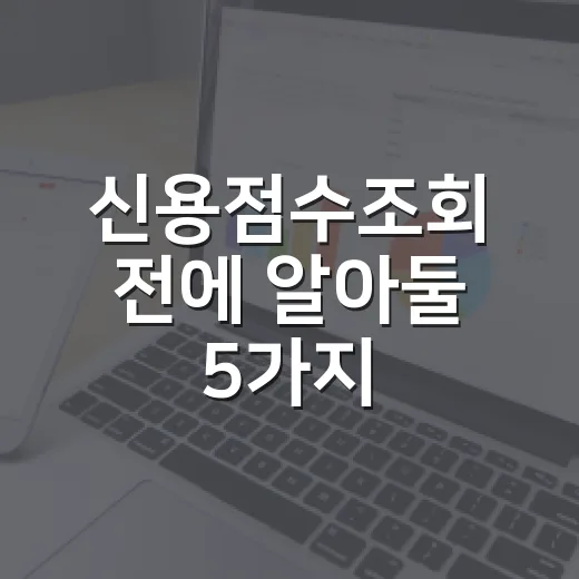 신용점수조회 전에 알아둘 5가지, 점수보다 먼저 볼 숫자들 - 요약