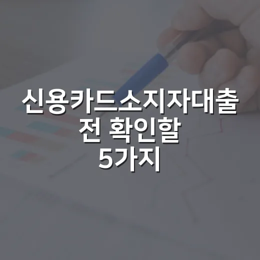 신용카드소지자대출 전 확인할 5가지 가계부 기준 - 요약