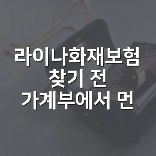 라이나화재보험 찾기 전 가계부에서 먼저 볼 5가지 - 요약