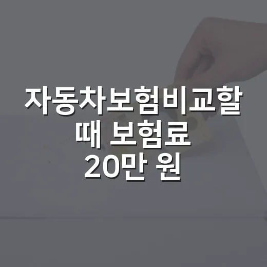 자동차보험비교할 때 보험료 20만 원 아끼는 5가지 확인법 - 요약