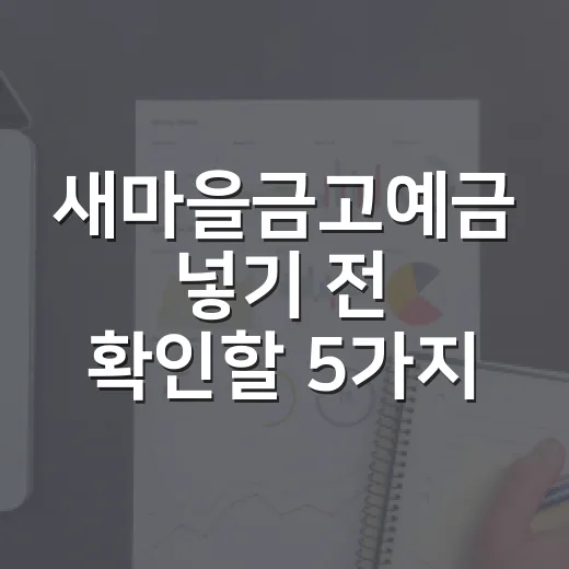 새마을금고예금 넣기 전 확인할 5가지 생활 기준 - 요약