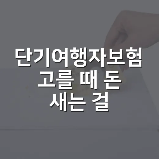 단기여행자보험 고를 때 돈 새는 걸 막는 5가지 기준 - 요약