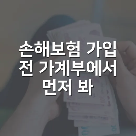 손해보험 가입 전 가계부에서 먼저 봐야 할 5가지 - 요약