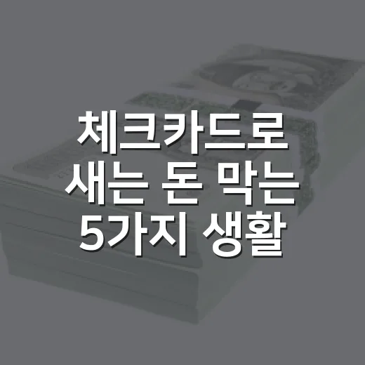 체크카드로 새는 돈 막는 5가지 생활 예산법 - 요약
