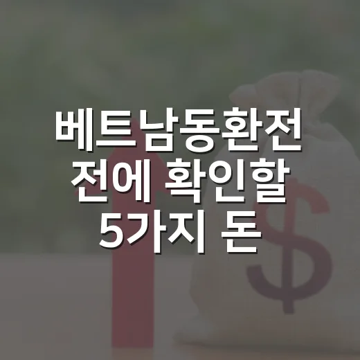 베트남동환전 전에 확인할 5가지 돈 새는 지점 - 요약