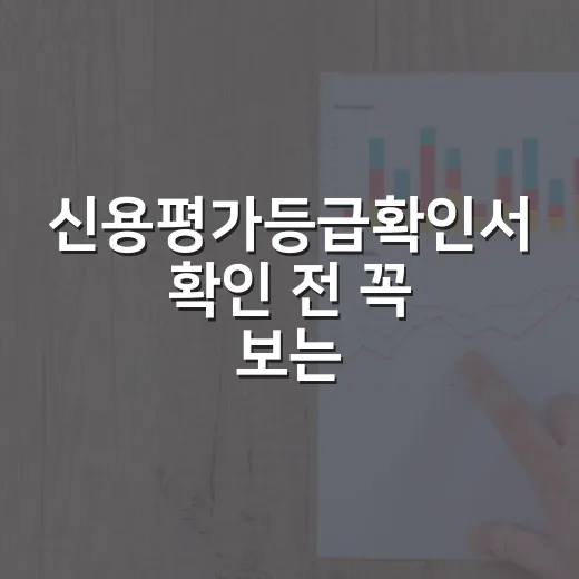 신용평가등급확인서 확인 전 꼭 보는 5가지 기준 - 요약