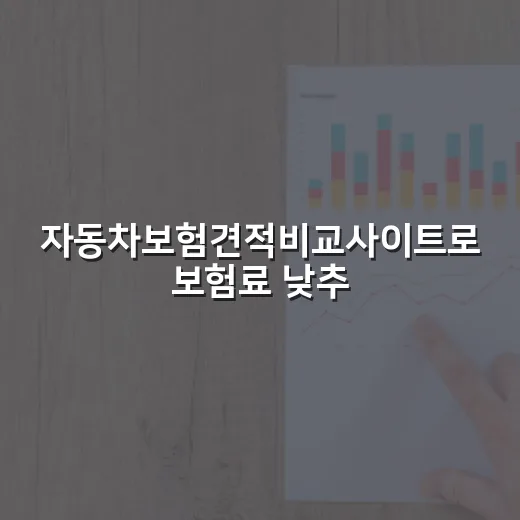 자동차보험견적비교사이트로 보험료 낮추는 5가지 기준 - 요약