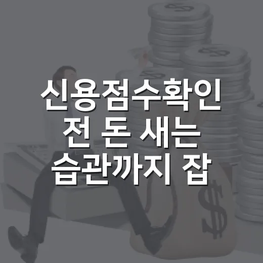 신용점수확인 전 돈 새는 습관까지 잡는 5가지 체크법 - 요약