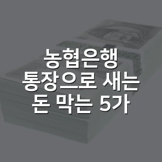 농협은행 통장으로 새는 돈 막는 5가지 가계부 루틴 - 요약