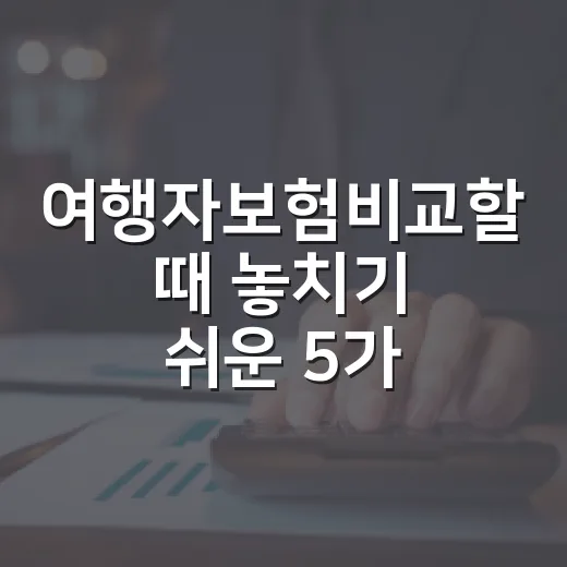 여행자보험비교할 때 놓치기 쉬운 5가지 기준 - 요약
