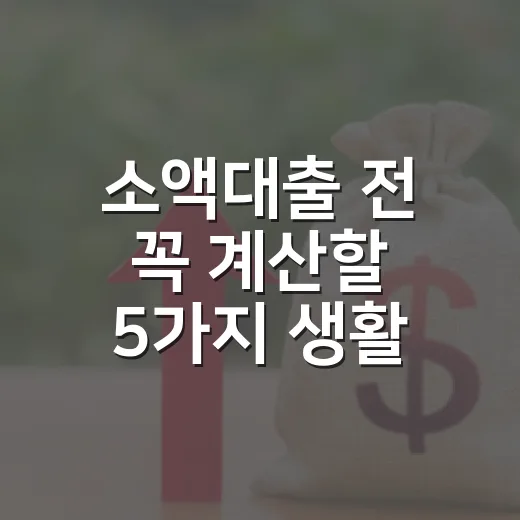 소액대출 전 꼭 계산할 5가지 생활 기준 - 요약