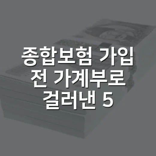 종합보험 가입 전 가계부로 걸러낸 5가지 체크포인트 - 요약