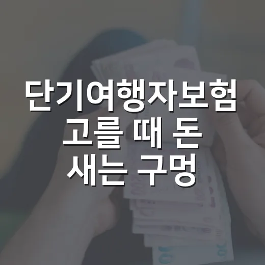 단기여행자보험 고를 때 돈 새는 구멍 막는 5가지 기준 - 요약