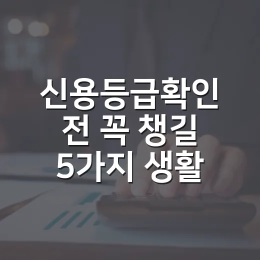 신용등급확인 전 꼭 챙길 5가지 생활 재무 체크포인트 - 요약