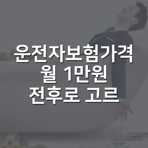운전자보험가격 월 1만원 전후로 고르는 5가지 기준 - 요약