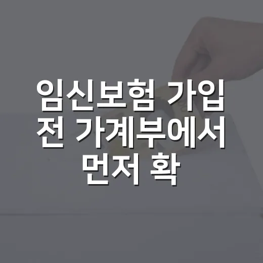 임신보험 가입 전 가계부에서 먼저 확인할 5가지 - 요약