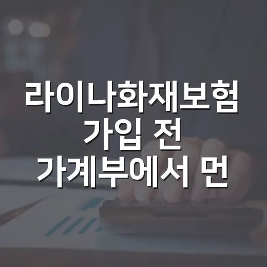 라이나화재보험 가입 전 가계부에서 먼저 보는 5가지 숫자 - 요약