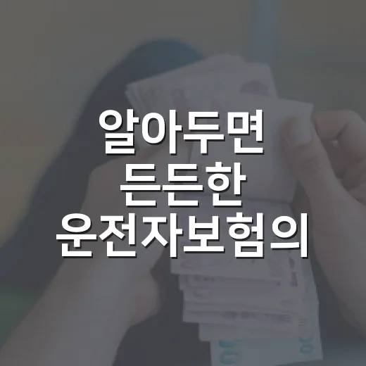 알아두면 든든한 운전자보험의 4가지 핵심 포인트 - 요약