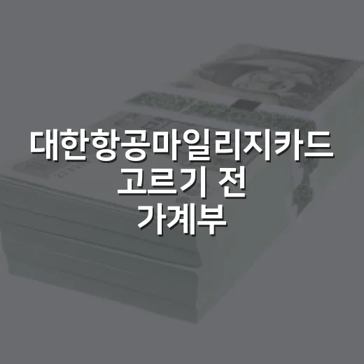 대한항공마일리지카드 고르기 전 가계부에서 보는 5가지 숫자 - 요약