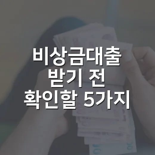 비상금대출 받기 전 확인할 5가지 숫자 - 요약