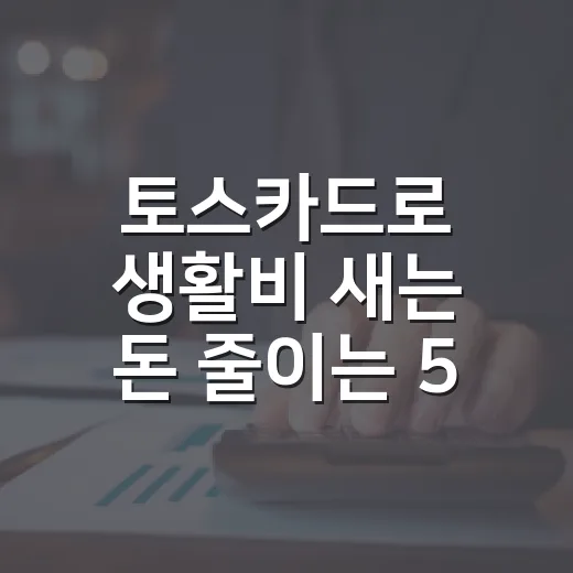 토스카드로 생활비 새는 돈 줄이는 5가지 기준 - 요약