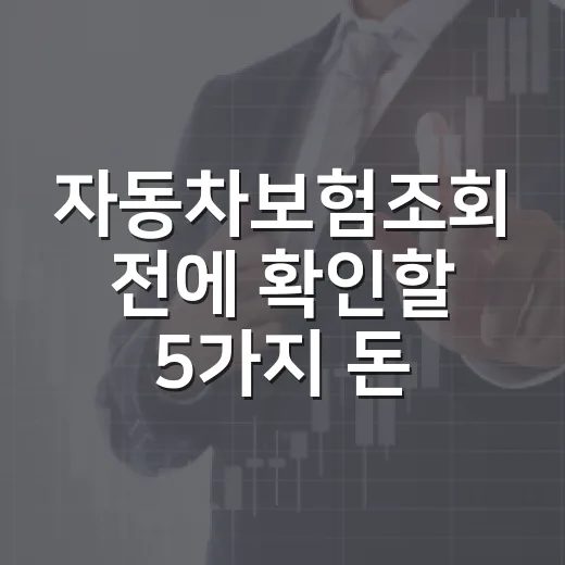 자동차보험조회 전에 확인할 5가지 돈 새는 지점 - 요약