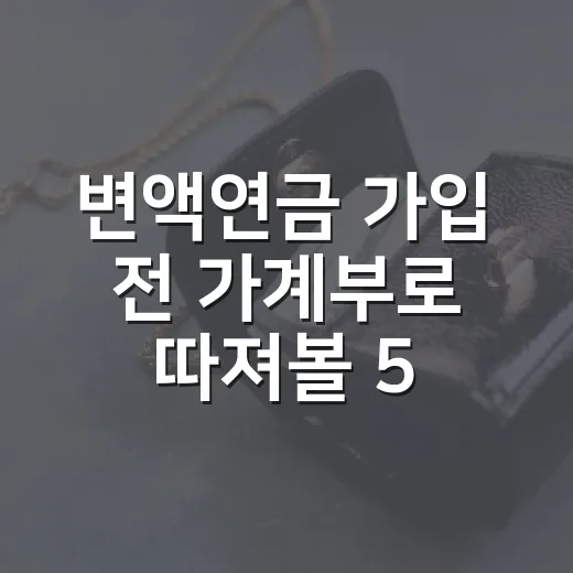 변액연금 가입 전 가계부로 따져볼 5가지 숫자 - 요약