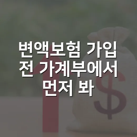 변액보험 가입 전 가계부에서 먼저 봐야 할 5가지 숫자 - 요약