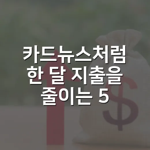 카드뉴스처럼 한 달 지출을 줄이는 5가지 가계부 습관 - 요약