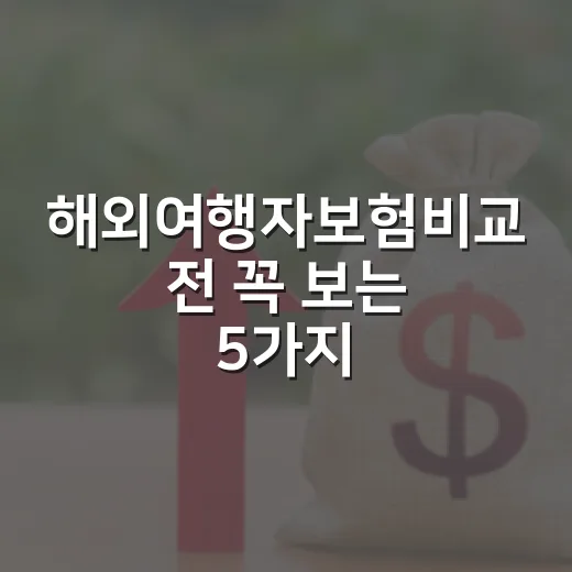 해외여행자보험비교 전 꼭 보는 5가지 돈 기준 - 요약