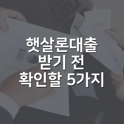 햇살론대출 받기 전 확인할 5가지 생활 예산 기준 - 요약