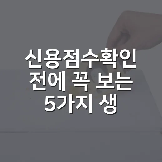 신용점수확인 전에 꼭 보는 5가지 생활 체크포인트 - 요약