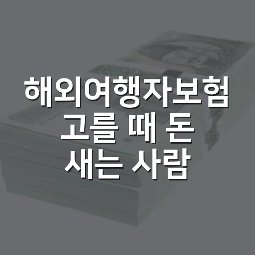해외여행자보험 고를 때 돈 새는 사람을 줄여주는 5가지 기준 - 요약