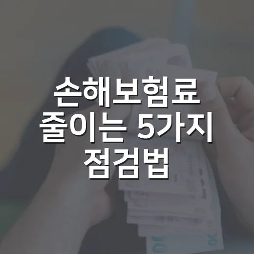 손해보험료 줄이는 5가지 점검법, 가계부에서 먼저 봐야 할 숫자 - 요약