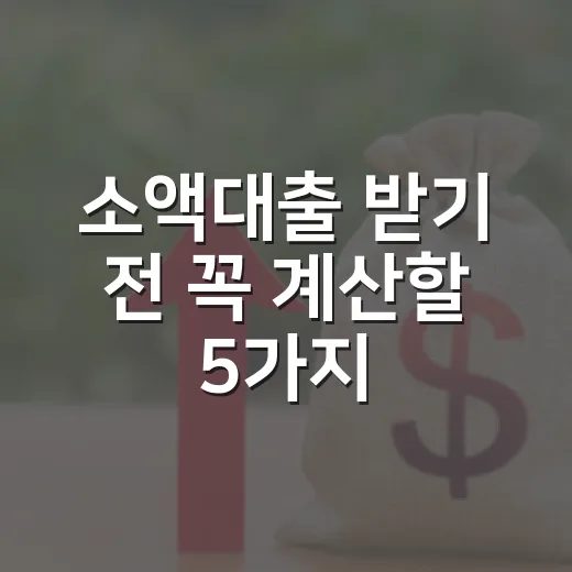 소액대출 받기 전 꼭 계산할 5가지 숫자 - 요약
