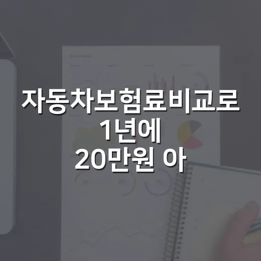 자동차보험료비교로 1년에 20만원 아끼는 5가지 확인법 - 요약