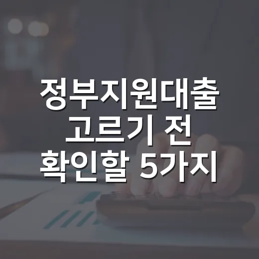 정부지원대출 고르기 전 확인할 5가지 생활 기준 - 요약