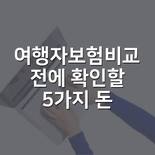 여행자보험비교 전에 확인할 5가지 돈의 기준 - 요약