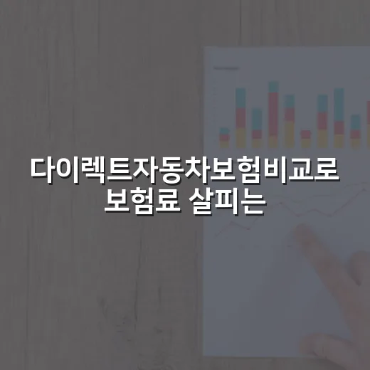다이렉트자동차보험비교로 보험료 살피는 4단계 - 요약