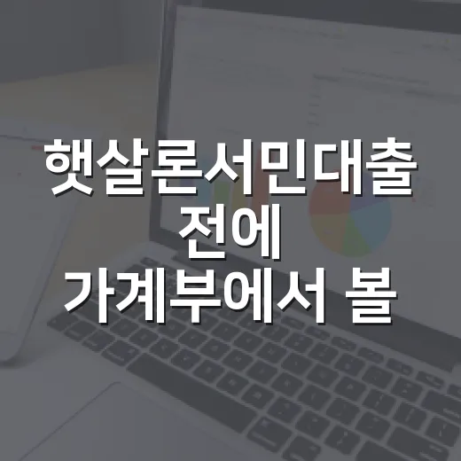 햇살론서민대출 전에 가계부에서 볼 4가지 - 요약