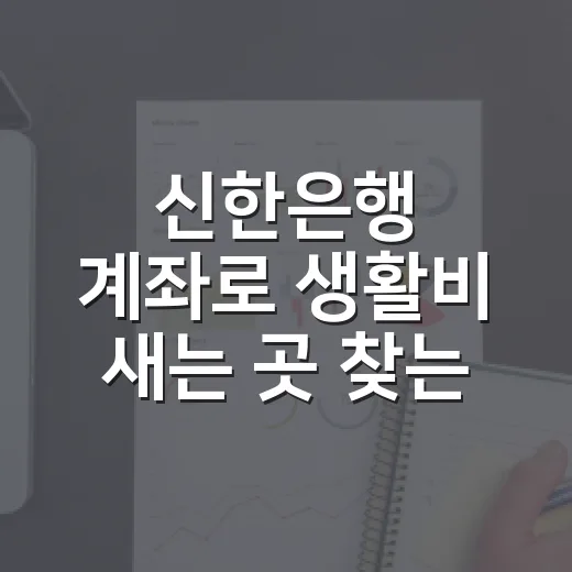 신한은행 계좌로 생활비 새는 곳 찾는 4단계 - 요약