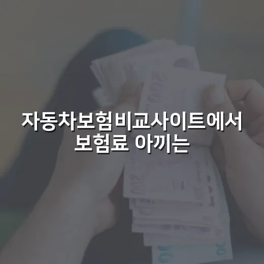 자동차보험비교사이트에서 보험료 아끼는 5가지 - 요약