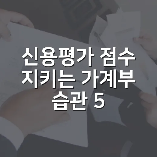 신용평가 점수 지키는 가계부 습관 5가지 - 요약